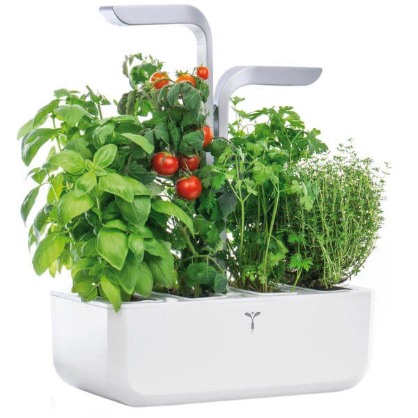 Véritable Jardin D'herbes Aromatiques - Appareils De Cuisine Divers 1 Véritable Jardin D'herbes Aromatiques - Appareils De Cuisine Divers