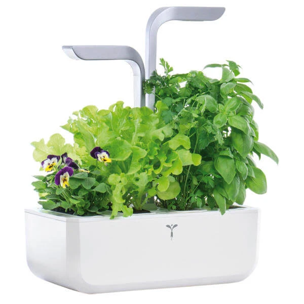 Véritable Jardin D'herbes Aromatiques - Appareils De Cuisine Divers 2 Véritable Jardin D'herbes Aromatiques - Appareils De Cuisine Divers – Image 2
