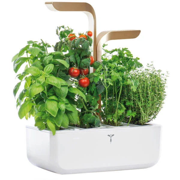Véritable Jardin D'herbes Aromatiques - Appareils De Cuisine Divers 1 Véritable Jardin D'herbes Aromatiques - Appareils De Cuisine Divers