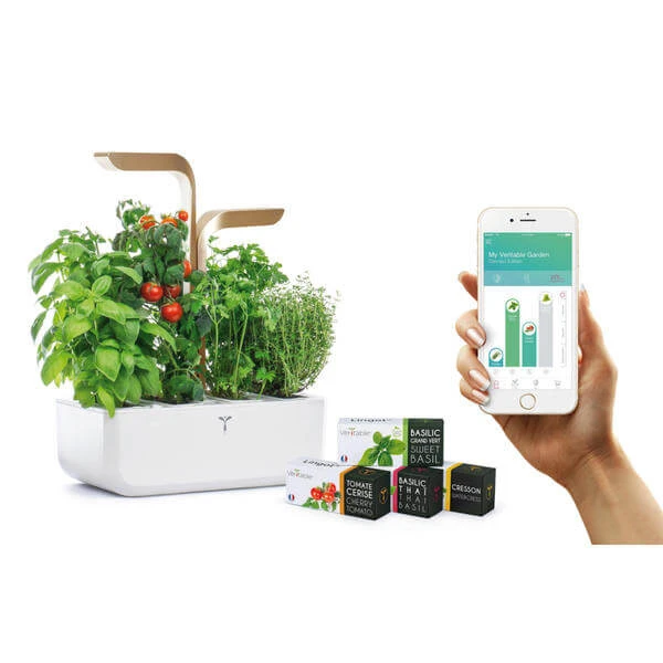 Véritable Jardin D'herbes Aromatiques - Appareils De Cuisine Divers 3 Véritable Jardin D'herbes Aromatiques - Appareils De Cuisine Divers – Image 3