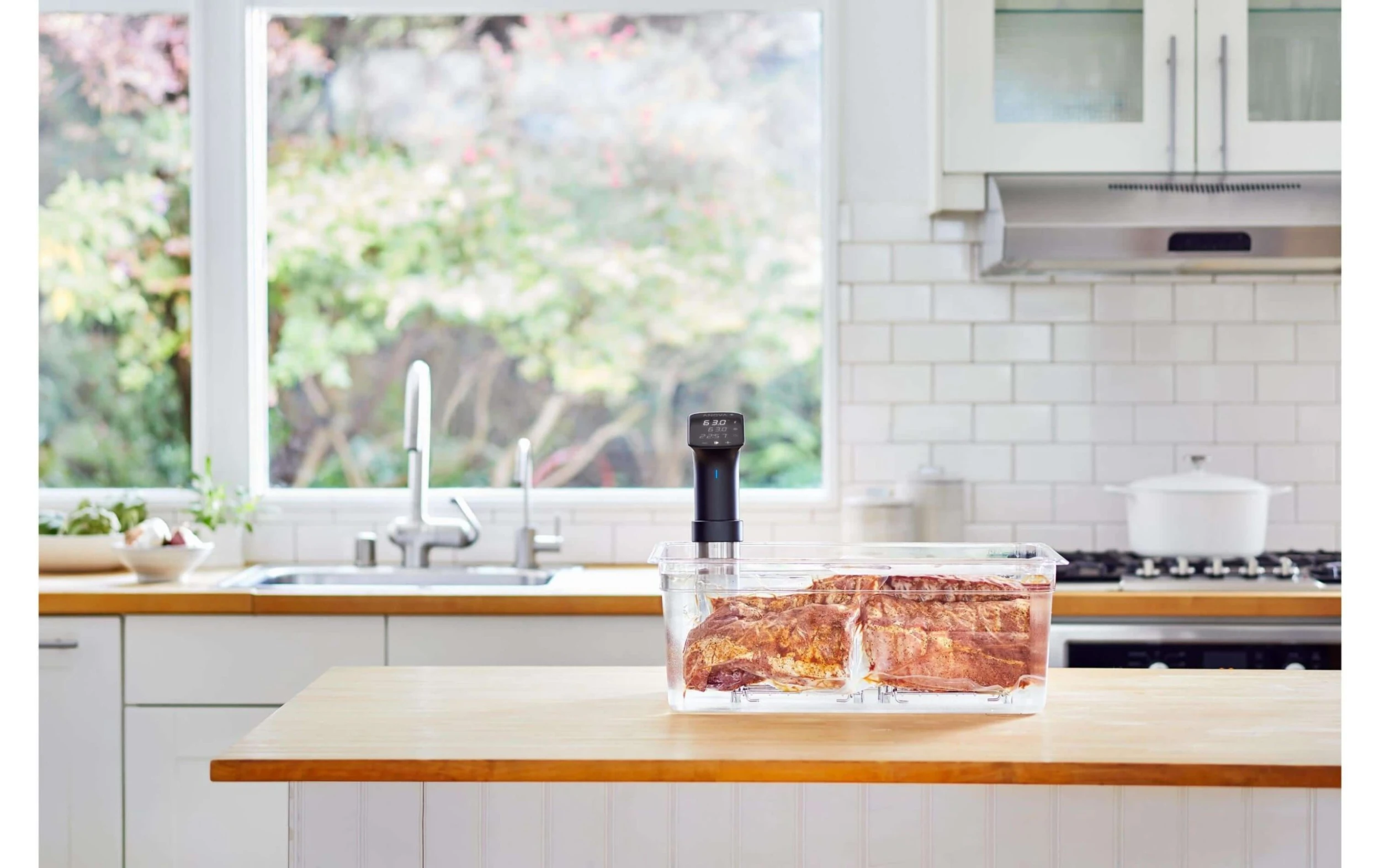 Anova Cuiseur Stick Sous Vide Precision Cooker PRO - Appareils De Cuisine Divers 2 Anova Cuiseur Stick Sous Vide Precision Cooker PRO - Appareils De Cuisine Divers – Image 2