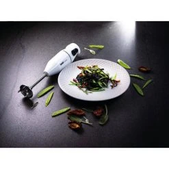 Bamix Cordless PLUS Blanc - Mixeur -KitchenAid Shop unnamed file 532