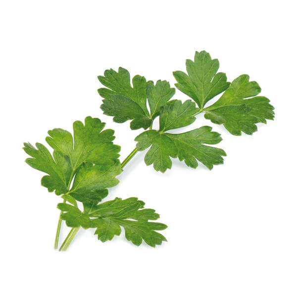 Véritable Herbes Aromatiques - Appareils De Cuisine Divers 2 Véritable Herbes Aromatiques - Appareils De Cuisine Divers – Image 2